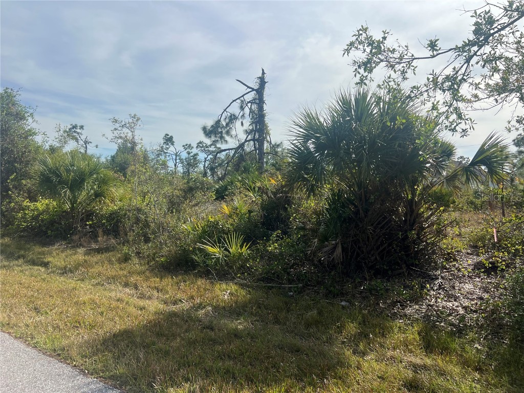 13273 Rouding Circle Port Charlotte FL 33981 C7501862 image3