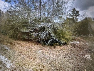13274 Caloosa Drive Punta Gorda FL 33955 C7523538 image1