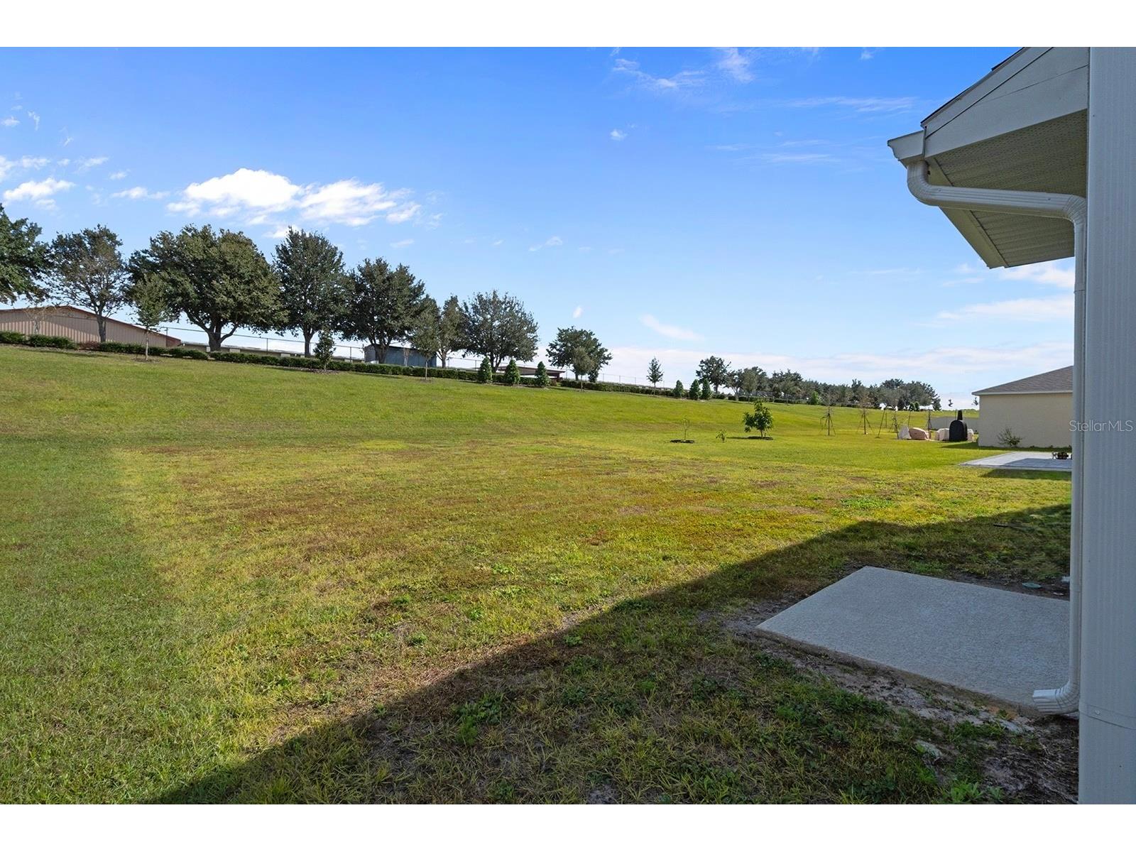 1328 Calmito Lane Mount Dora FL 32757 O6363342 image27