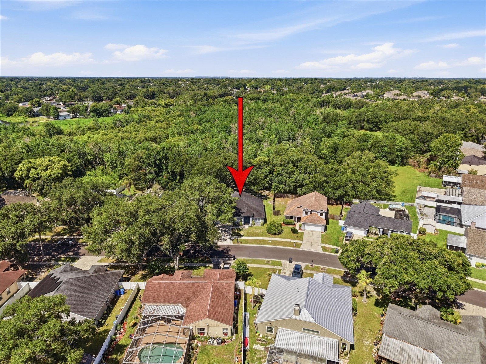1328 Gangplank Drive Valrico FL 33594 W7886127 image19