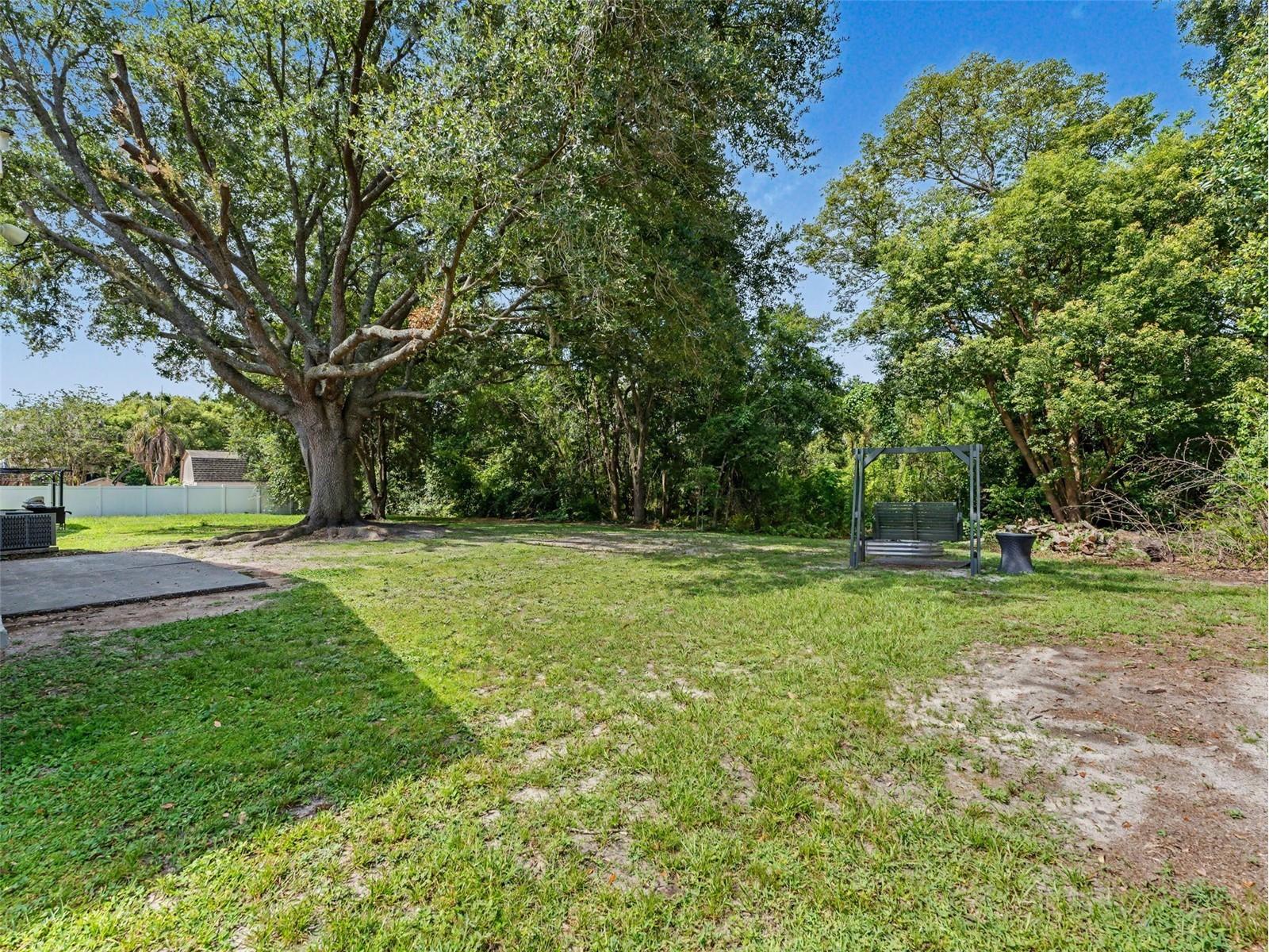 1328 Gangplank Drive Valrico FL 33594 W7886127 image25