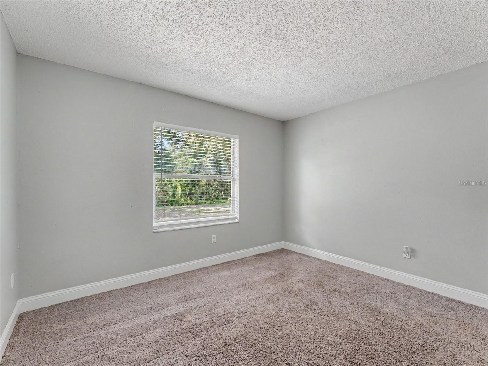 1328 Gangplank Drive Valrico FL 33594 W7886127 image31