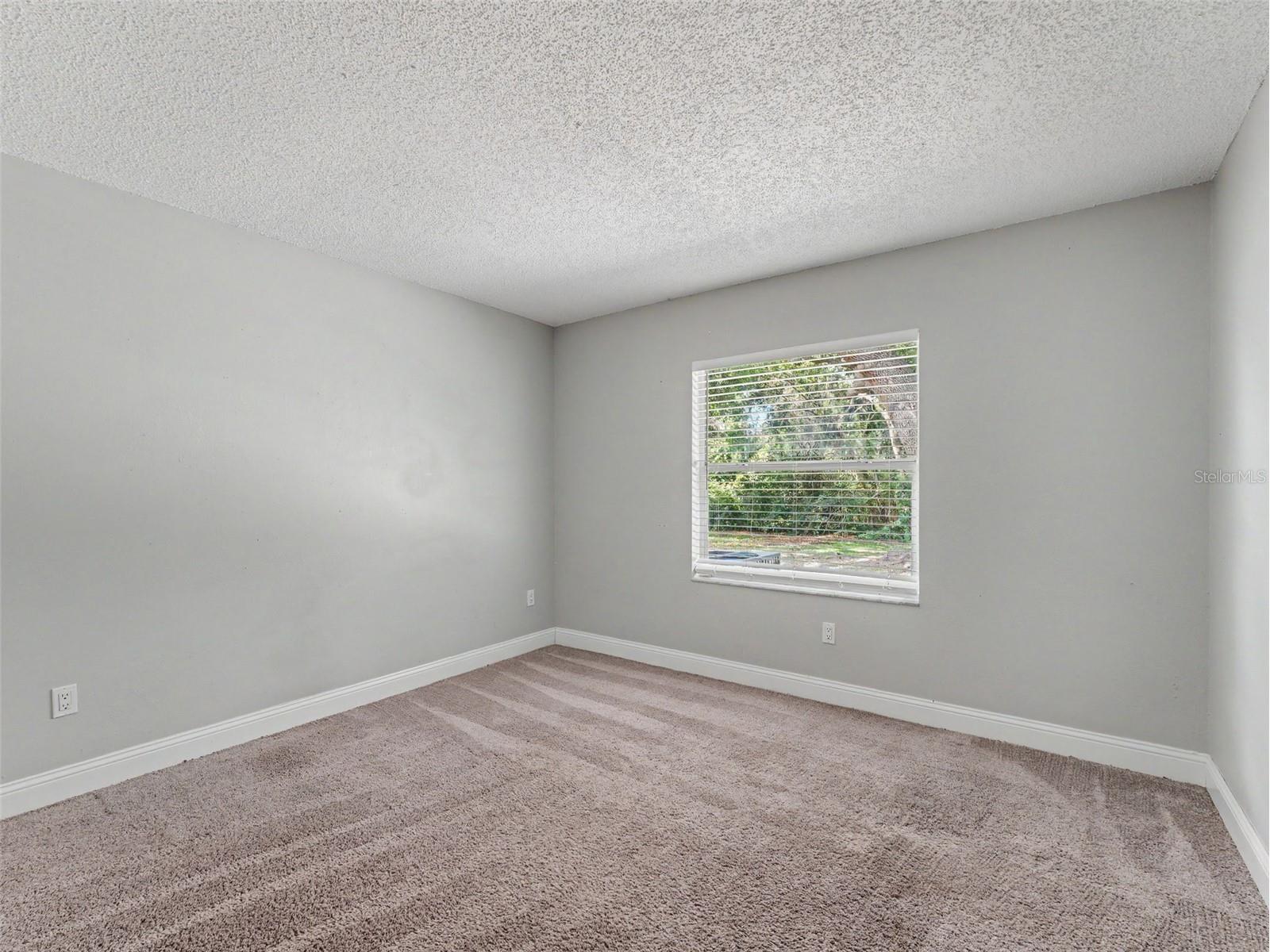 1328 Gangplank Drive Valrico FL 33594 W7886127 image33