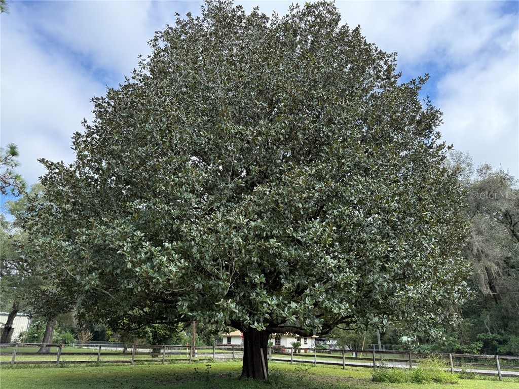 1328 NE 36th Street Ocala FL 34479 OM712310 image27