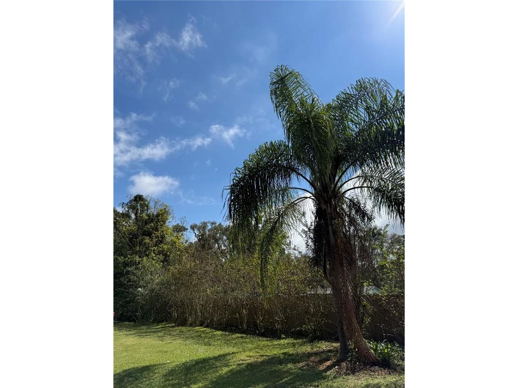 1328 NE 36th Street Ocala FL 34479 OM712310 image33