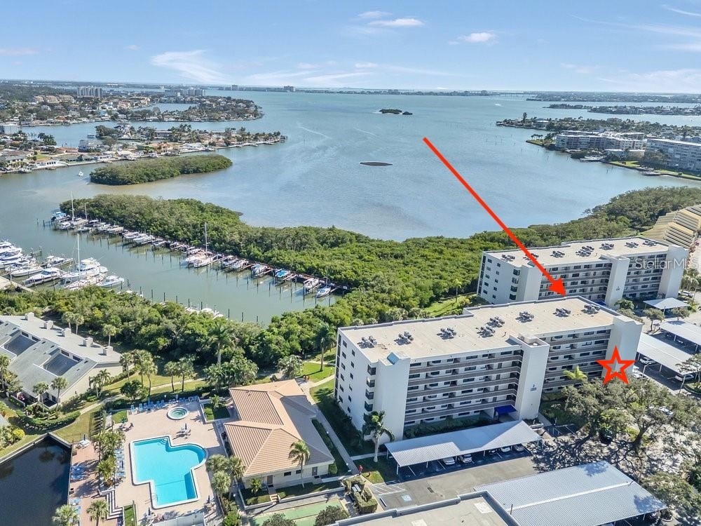 1328 Pasadena Avenue S #308 South Pasadena FL 33707 TB8456278 image1