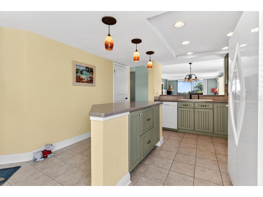 1328 Pasadena Avenue S #308 South Pasadena FL 33707 TB8456278 image11