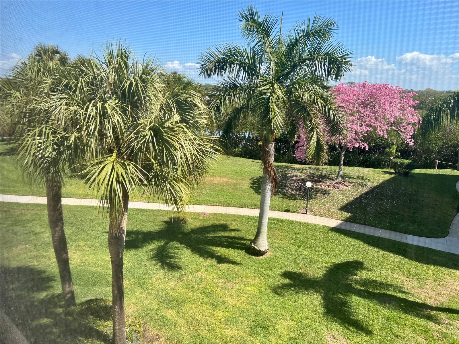 1328 Pasadena Avenue S #308 South Pasadena FL 33707 TB8456278 image33
