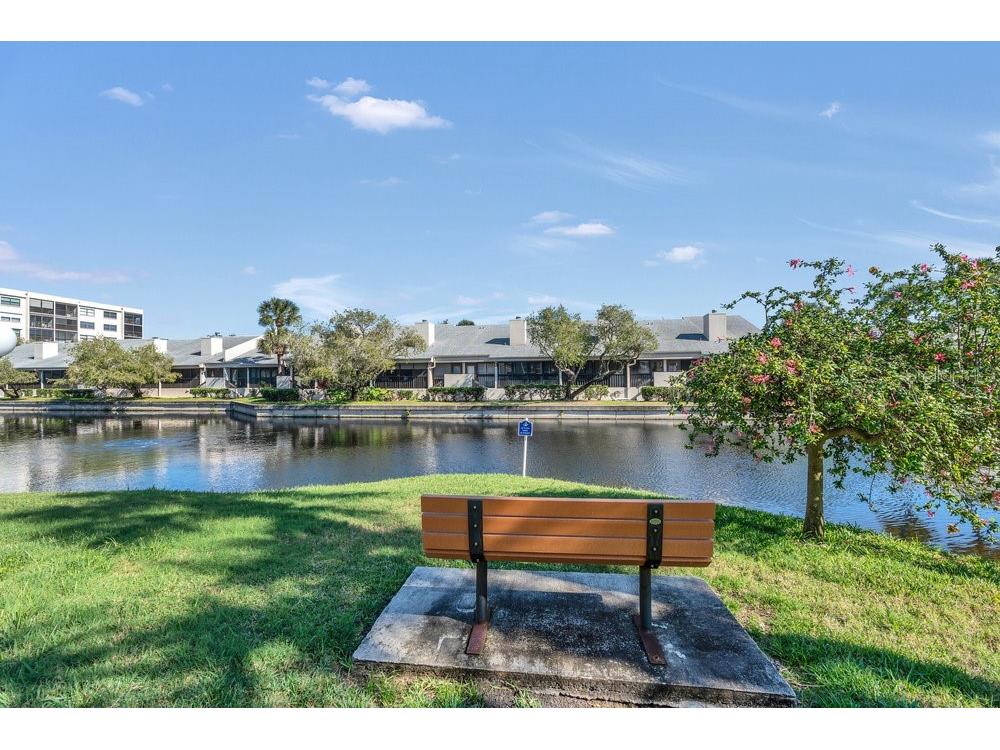 1328 Pasadena Avenue S #308 South Pasadena FL 33707 TB8456278 image45