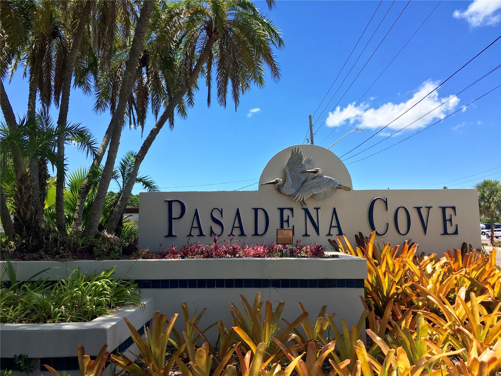 1328 Pasadena Avenue S #308 South Pasadena FL 33707 TB8456278 image49