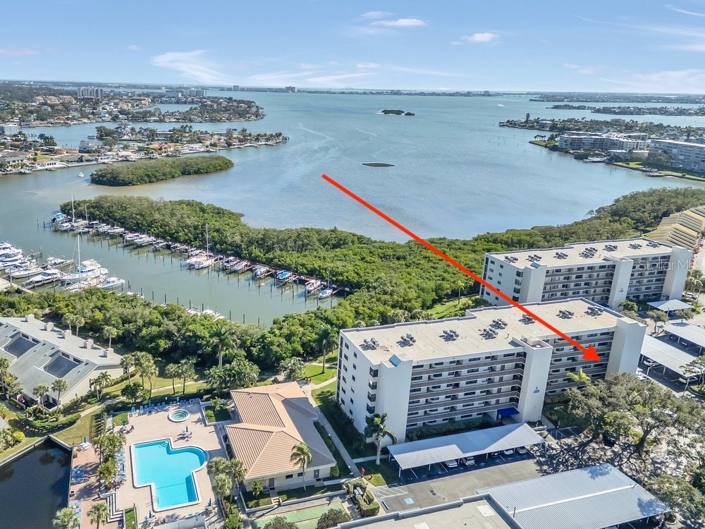 1328 Pasadena Avenue S #308 South Pasadena FL 33707 TB8456278 image50
