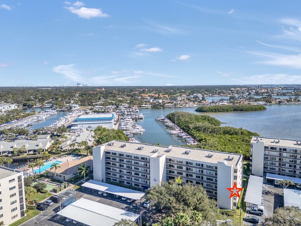 1328 Pasadena Avenue S #308 South Pasadena FL 33707 TB8456278 image52
