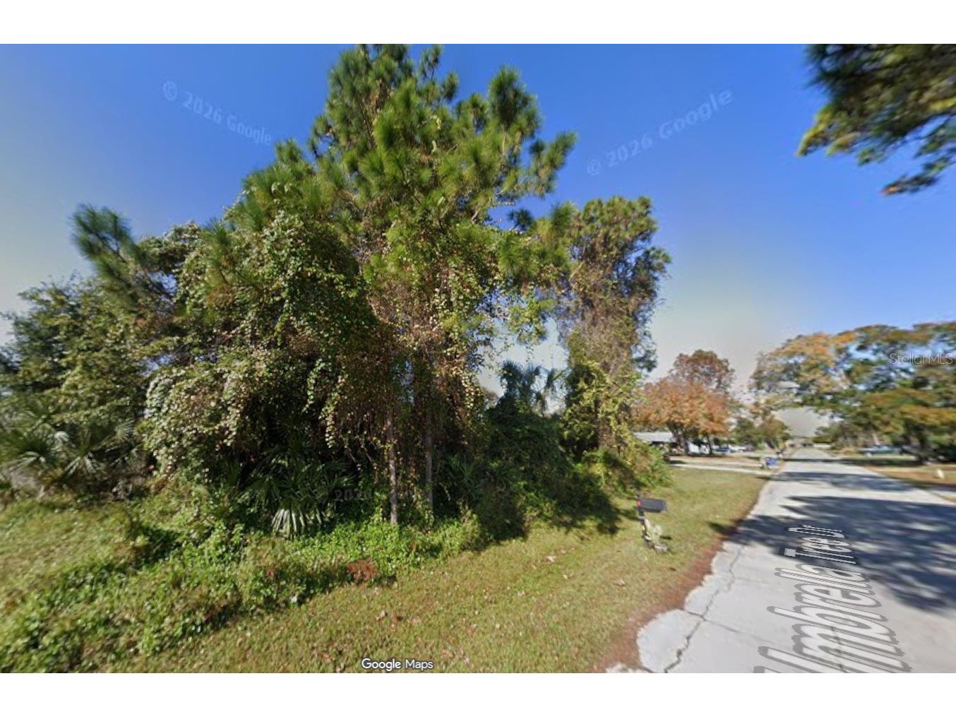 1328 Umbrella Tree Drive Edgewater FL 32132 O6398222 image1