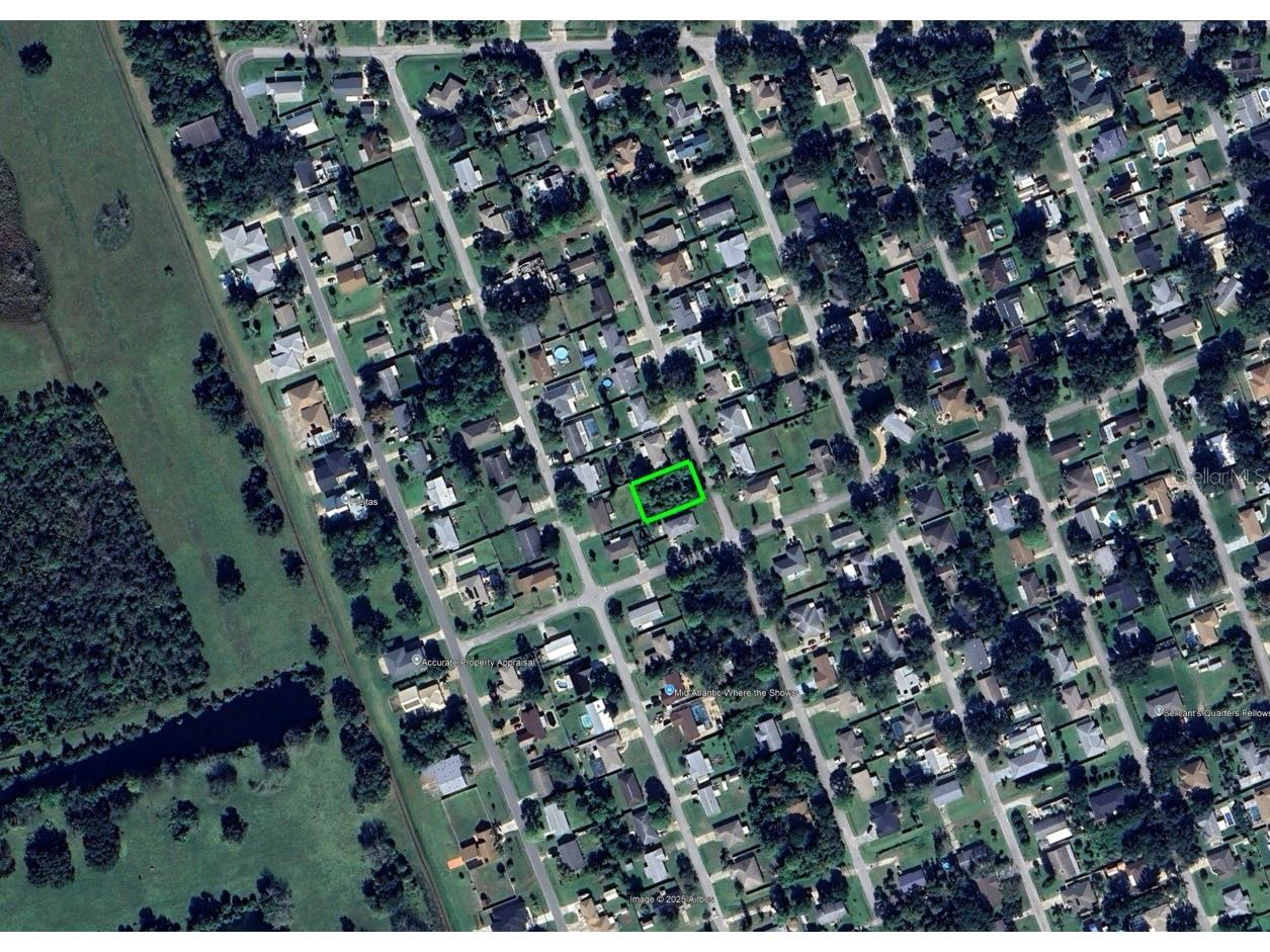 1328 Umbrella Tree Drive Edgewater FL 32132 O6398222 image4