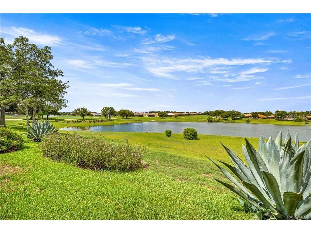 1328 W Diamond Shore Loop Hernando FL 34442 - SAM TAMPOSI LAKE OM728252 image2
