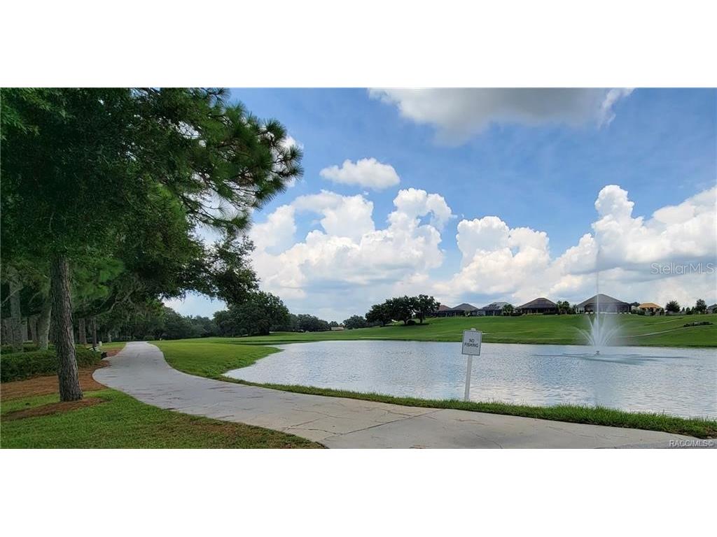 1328 W Diamond Shore Loop Hernando FL 34442 - SAM TAMPOSI LAKE OM728252 image67