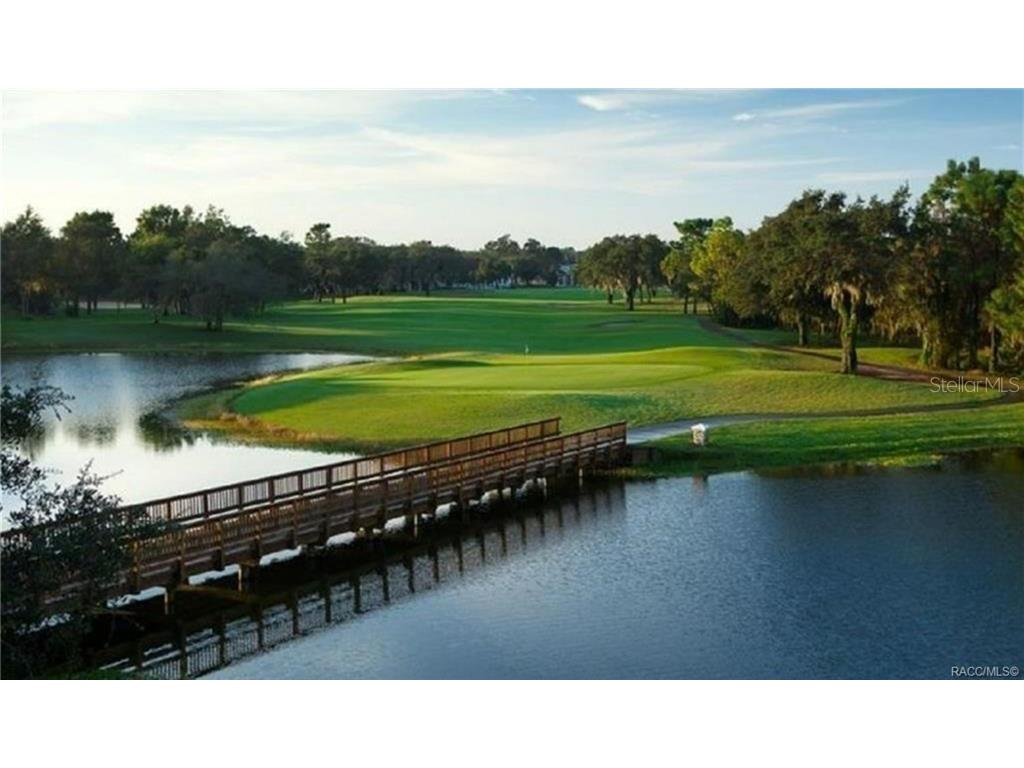 1328 W Diamond Shore Loop Hernando FL 34442 - SAM TAMPOSI LAKE OM728252 image70
