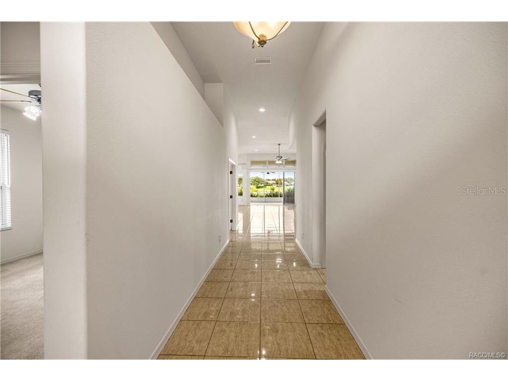 1328 W Diamond Shore Loop Hernando FL 34442 - SAM TAMPOSI LAKE OM728252 image8