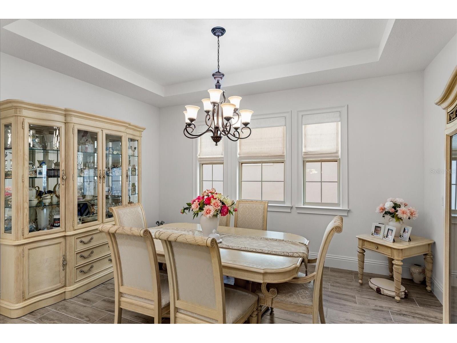 13283 Alderley Drive Orlando FL 32832 O6386302 image9