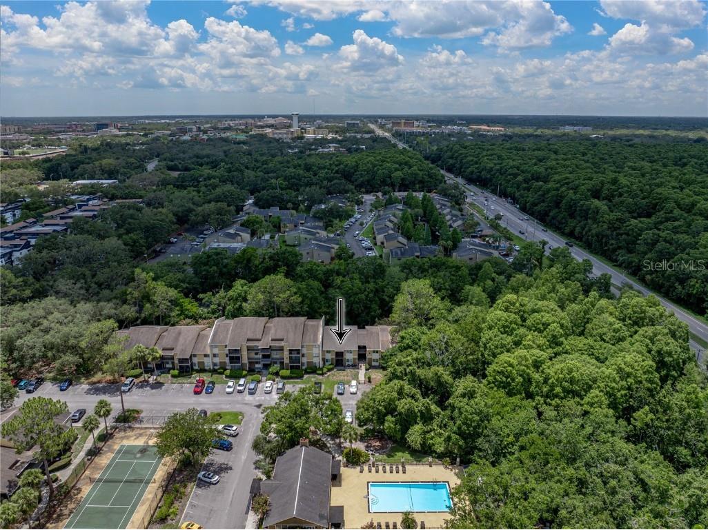 13285 Arbor Pointe Circle #202 Tampa FL 33617 TB8398794 image2