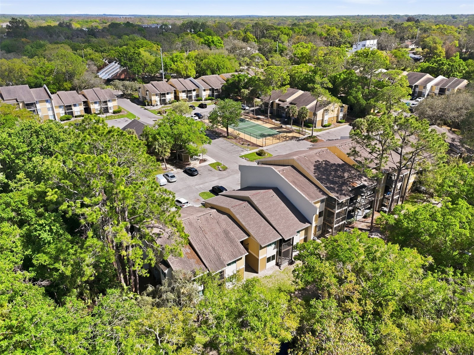 13285 Arbor Pointe Circle #202 Tampa FL 33617 TB8487175 image4