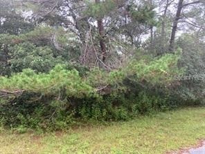 13285 Canada Goose Road Brooksville FL 34614 U8249392 image1