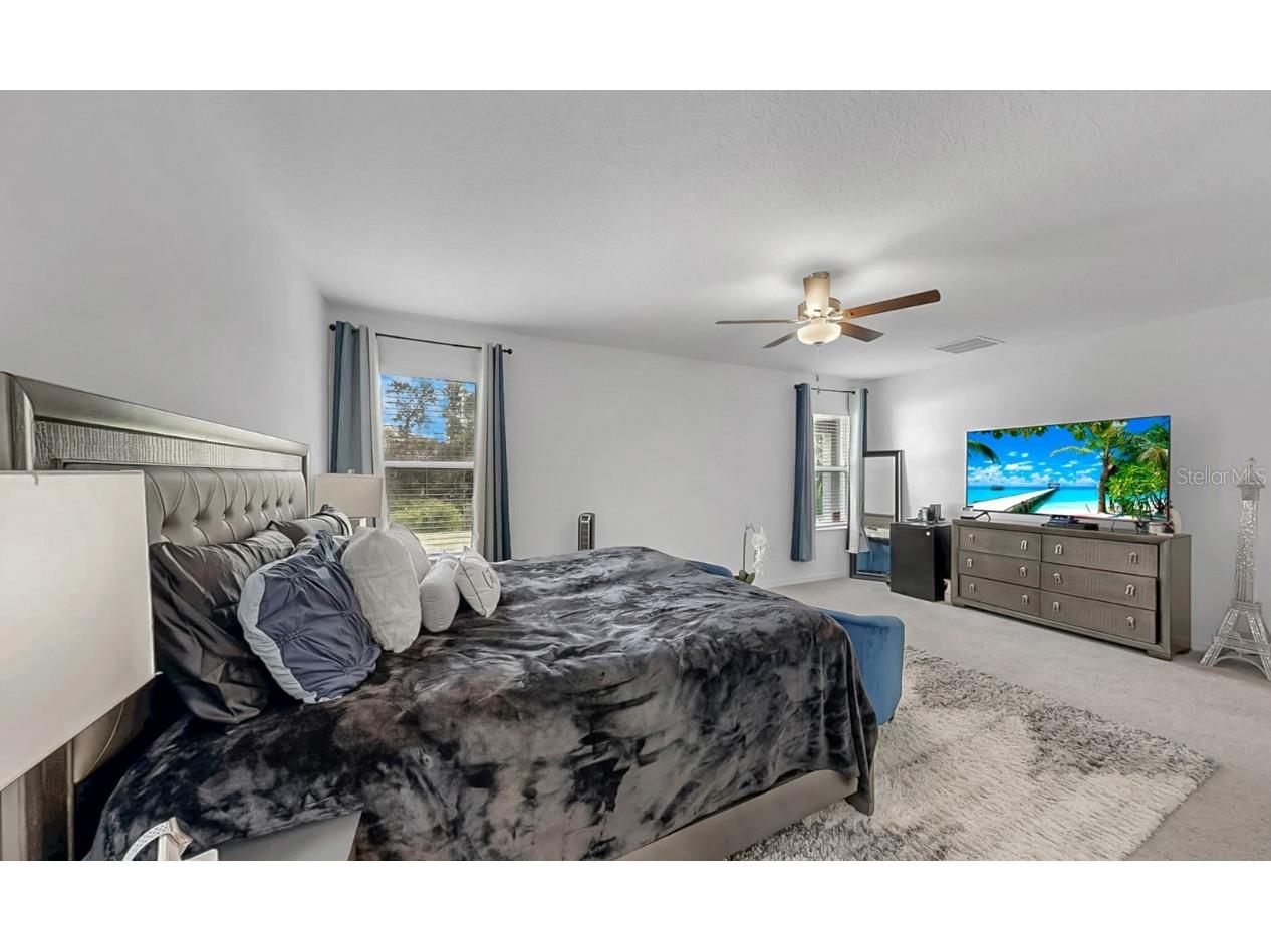 13286 Peachleaf Avenue Riverview FL 33579 TB8421078 image23