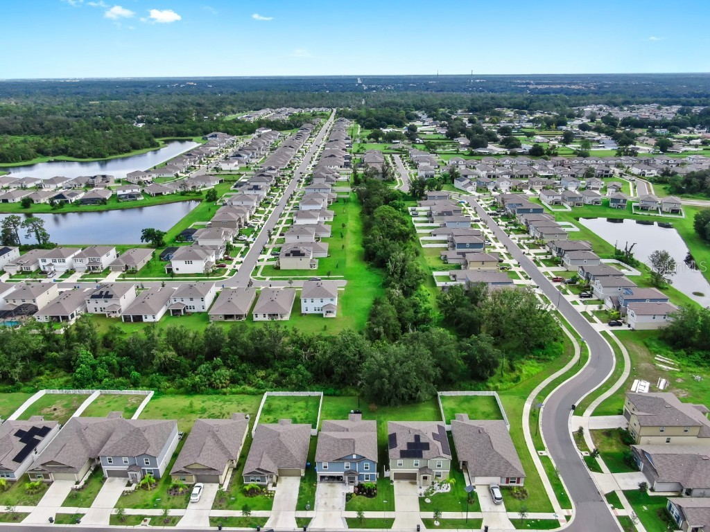 13286 Peachleaf Avenue Riverview FL 33579 TB8421078 image42