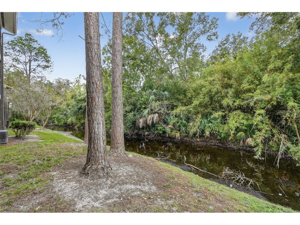 13287 Arbor Pointe Circle #103 Tampa FL 33617 TB8439500 image23