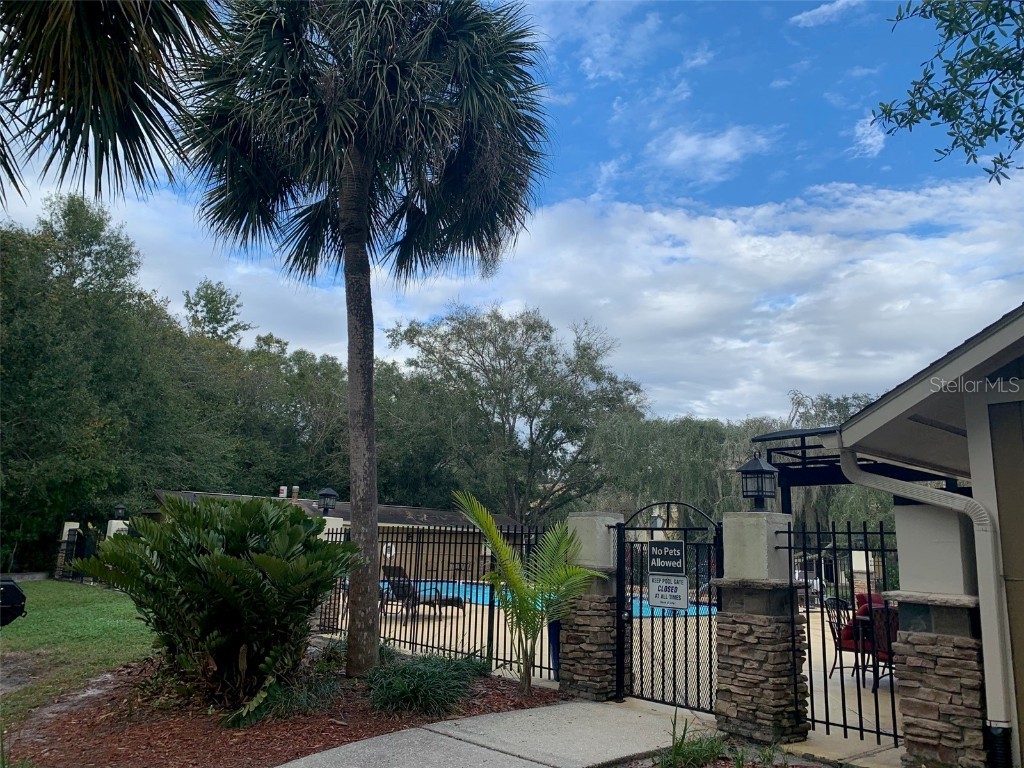 13287 Arbor Pointe Circle #103 Tampa FL 33617 TB8439500 image25