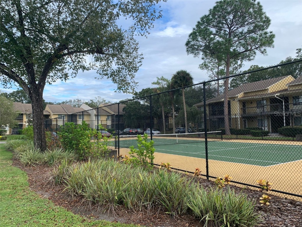 13287 Arbor Pointe Circle #103 Tampa FL 33617 TB8439500 image28