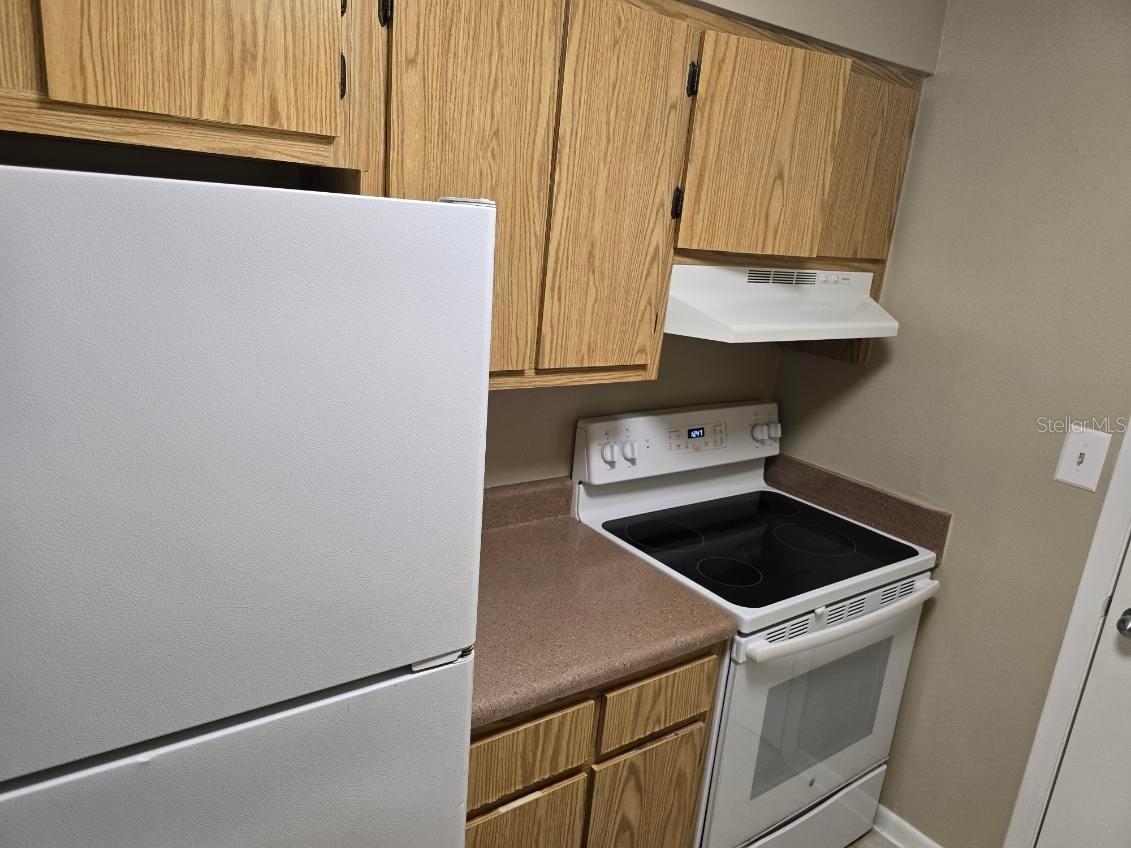 13289 Arbor Pointe Circle #201 Tampa FL 33617 TB8476445 image5
