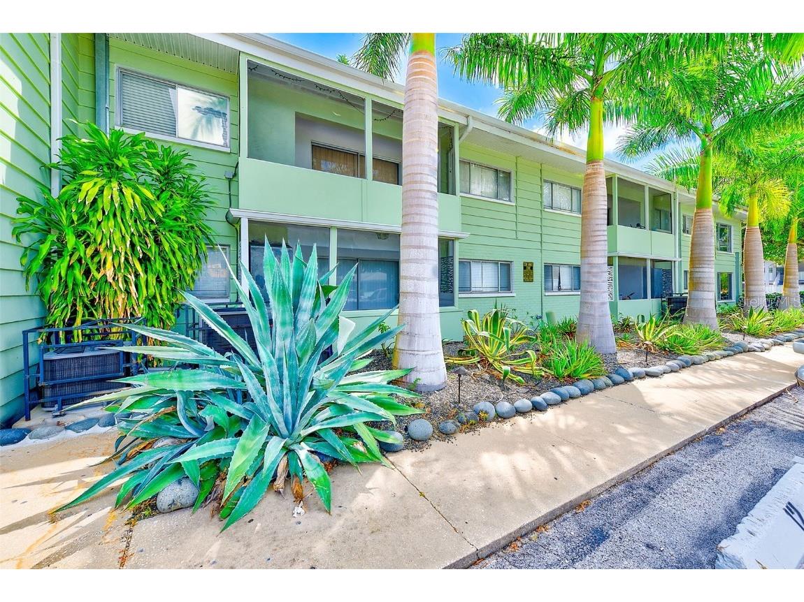 1329 Drew Street #4 Clearwater FL 33755 TB8428467 image1