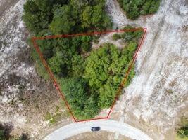 1329 Homosassa Court Kissimmee FL 34759 O6374349 image3