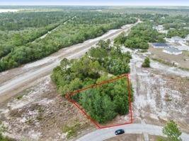 1329 Homosassa Court Kissimmee FL 34759 O6374349 image4