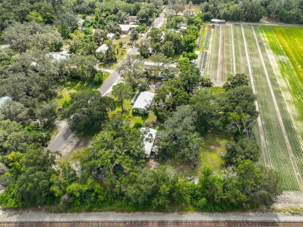 1329 Wilkinson Drive Plant City FL 33566 TB8440276 image12