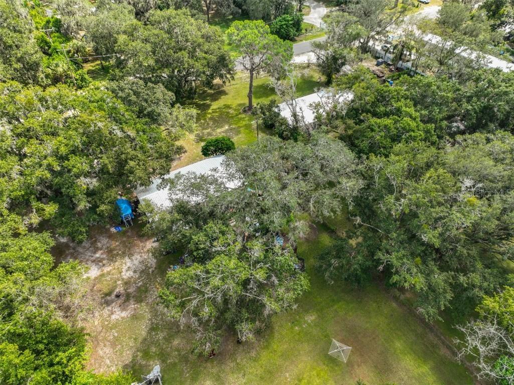 1329 Wilkinson Drive Plant City FL 33566 TB8440276 image13