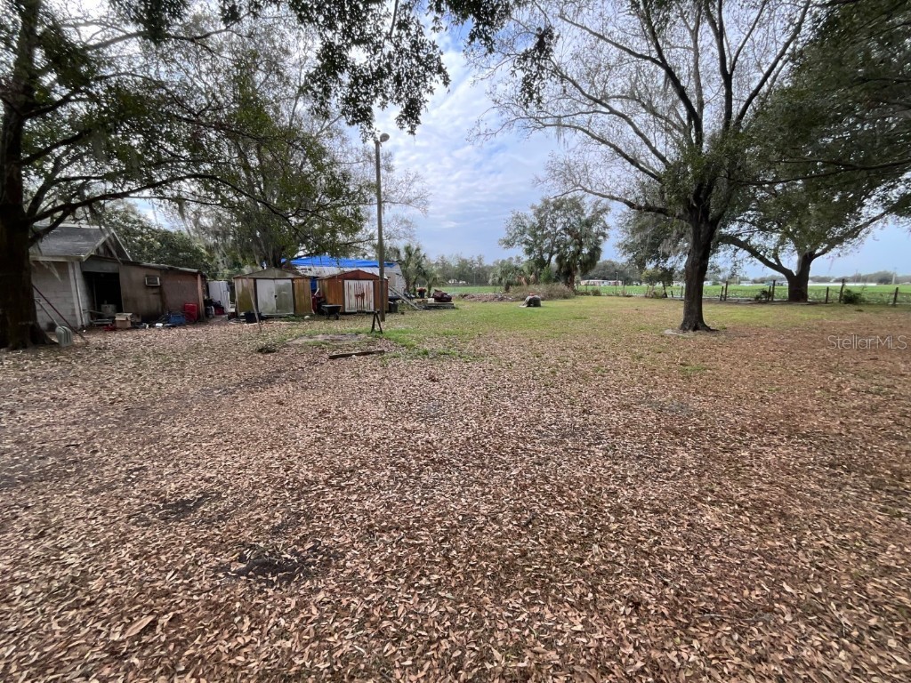 1329 Wilkinson Drive Plant City FL 33566 TB8440276 image16