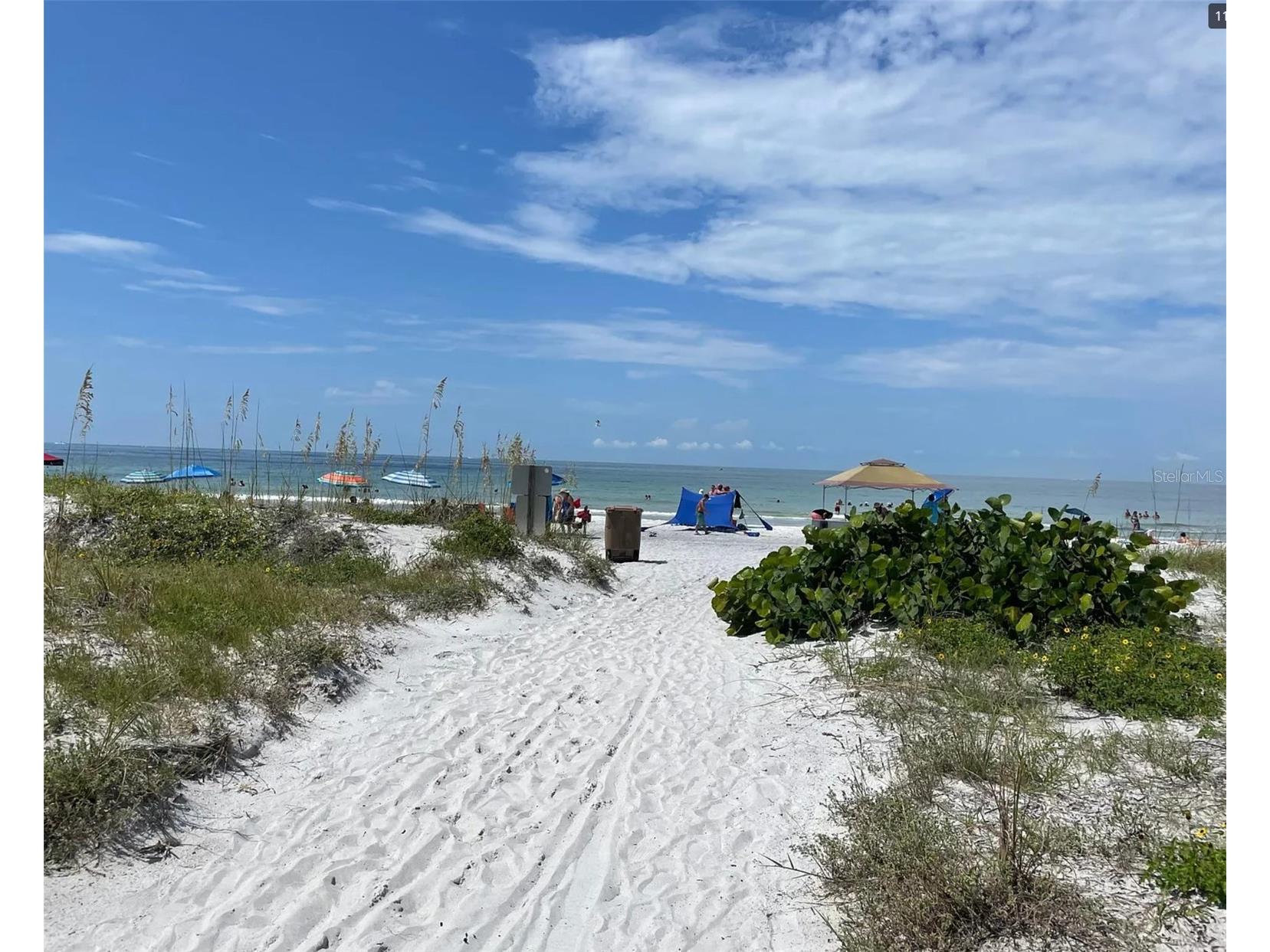 13290 3rd Street E Madeira Beach FL 33708 W7887076 image25