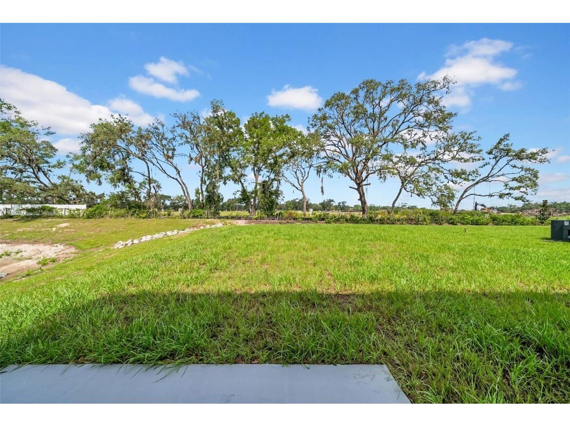 13295 Mylion Way #1 Spring Hill FL 34610 TB8409118 image50