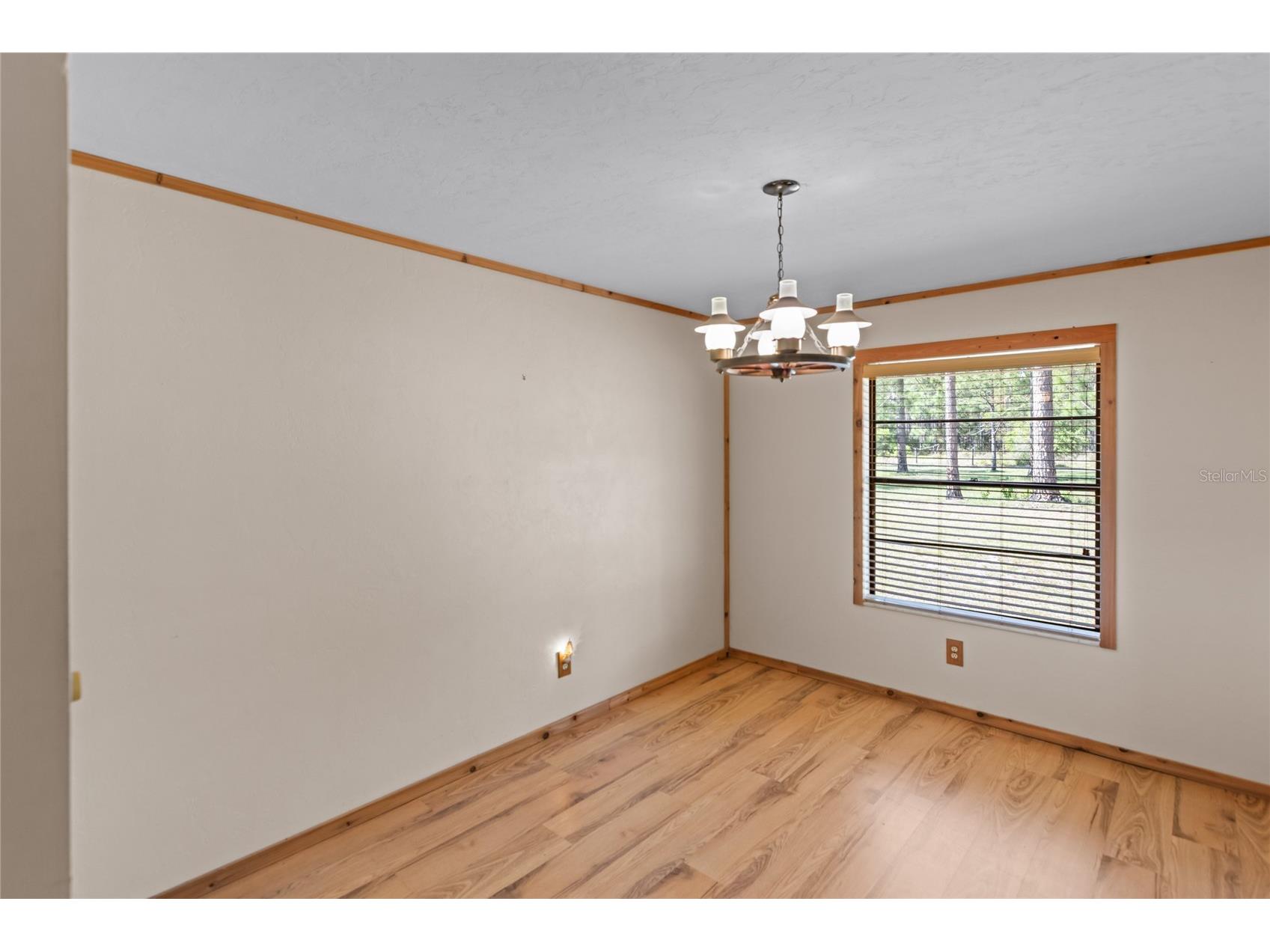 13296 SW County Road 231 Brooker FL 32622 GC538965 image20