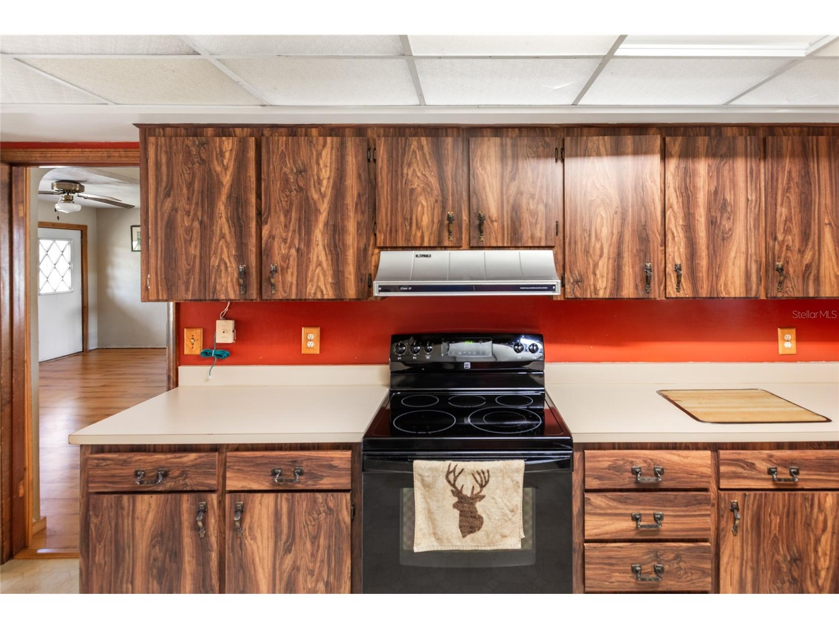 13296 SW County Road 231 Brooker FL 32622 GC538965 image28