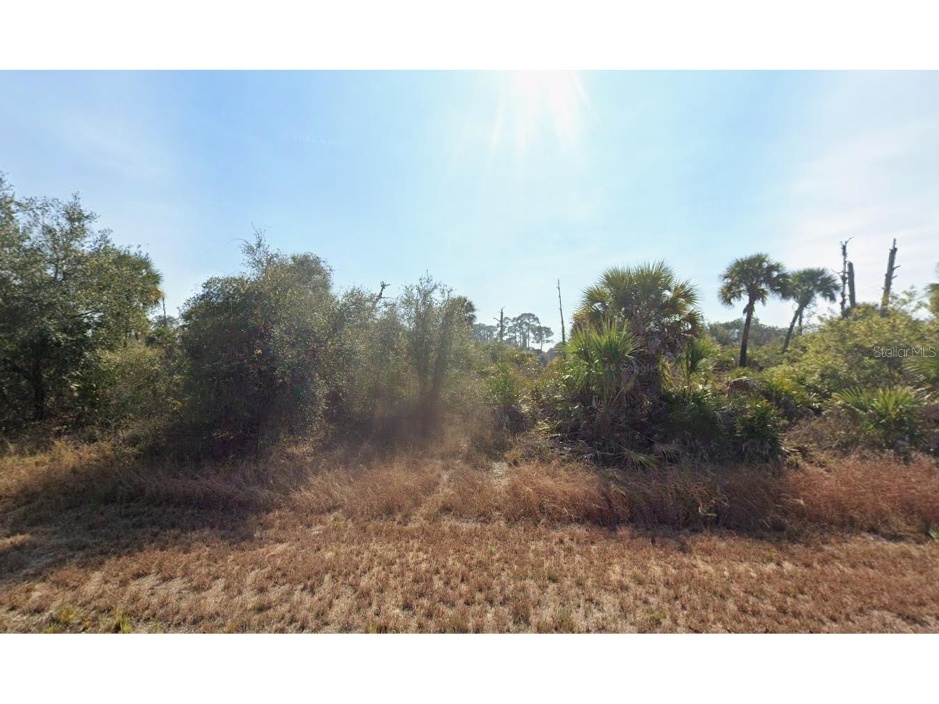 133 Apollo Avenue Labelle FL 33935 K4903451 image1