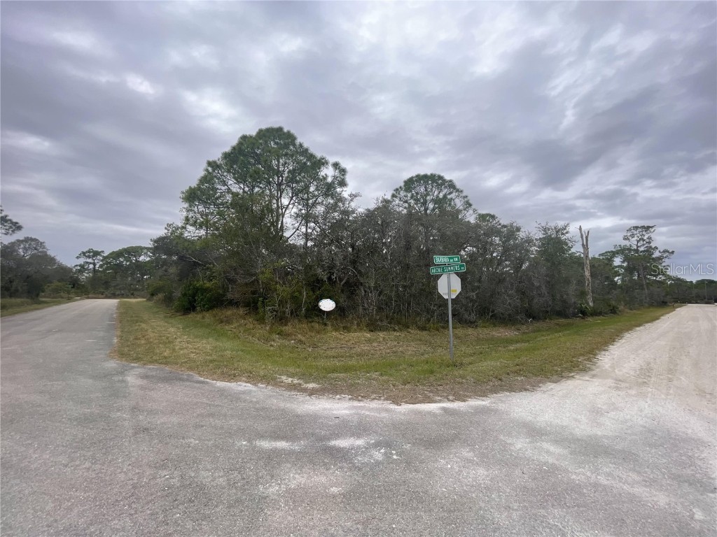 133 Barbara Avenue NW Lake Placid FL 33852 P4928542 image1