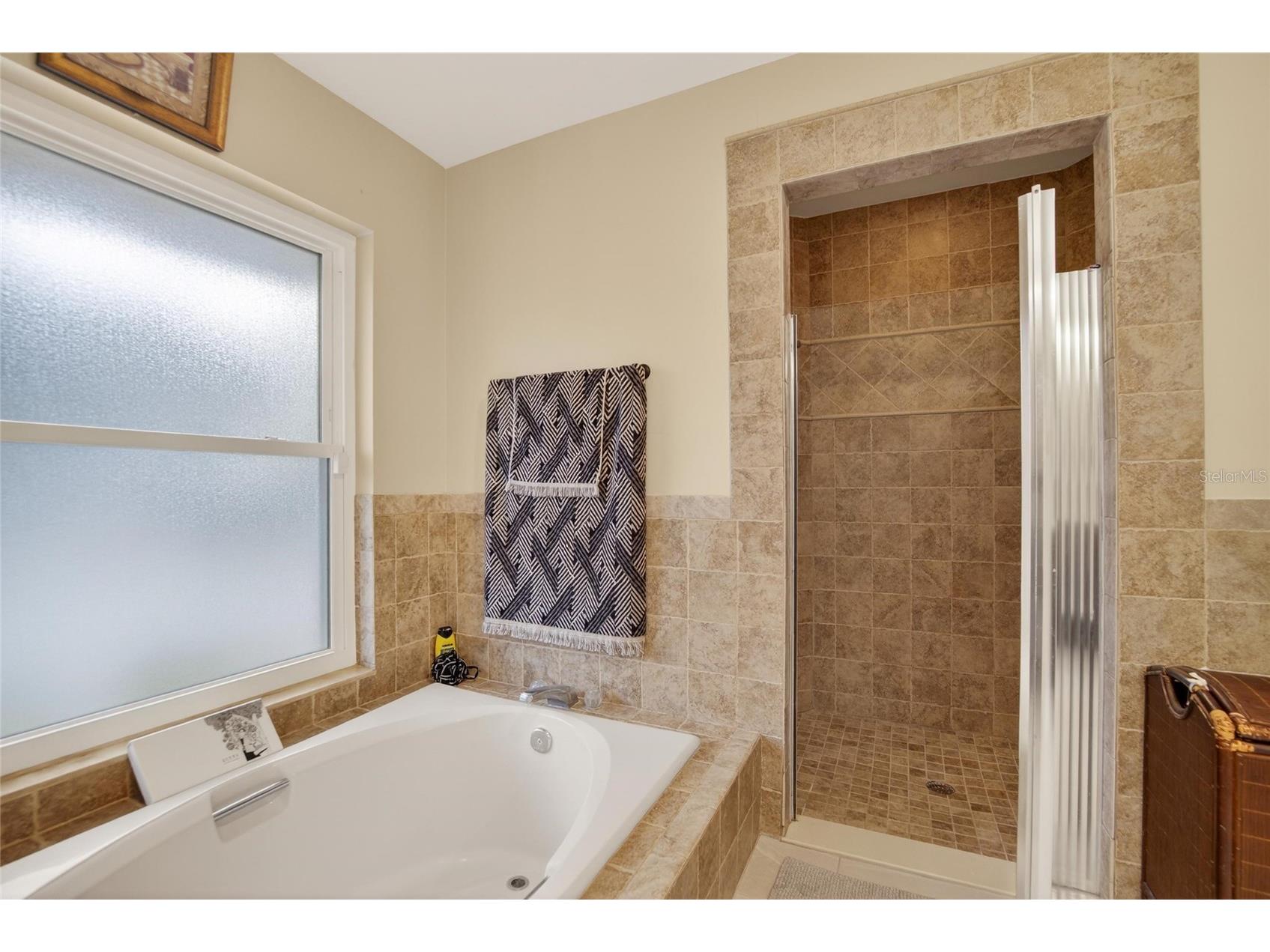 133 Barrington Drive Brandon FL 33511 TB8465143 image50