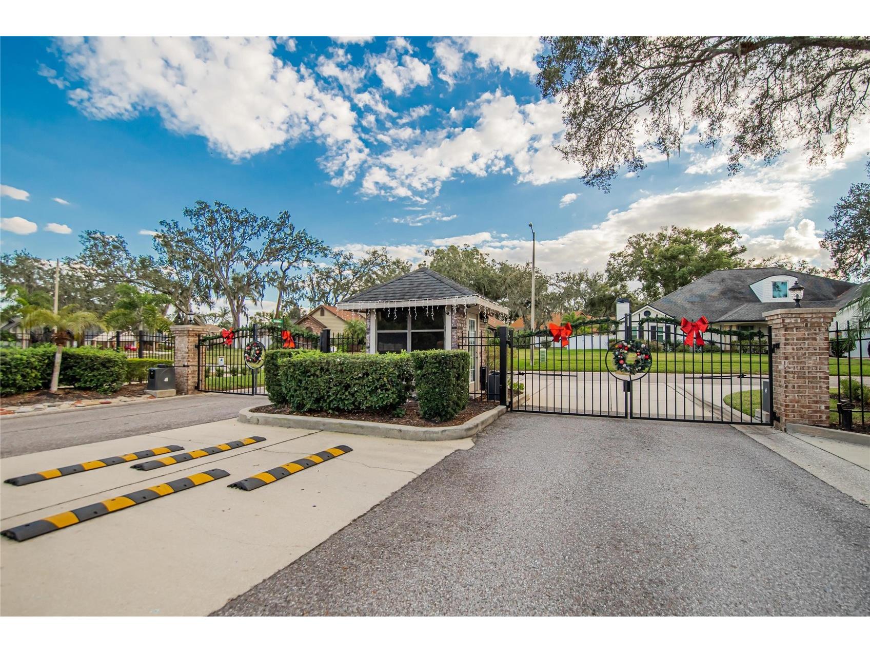 133 Barrington Drive Brandon FL 33511 TB8465143 image72