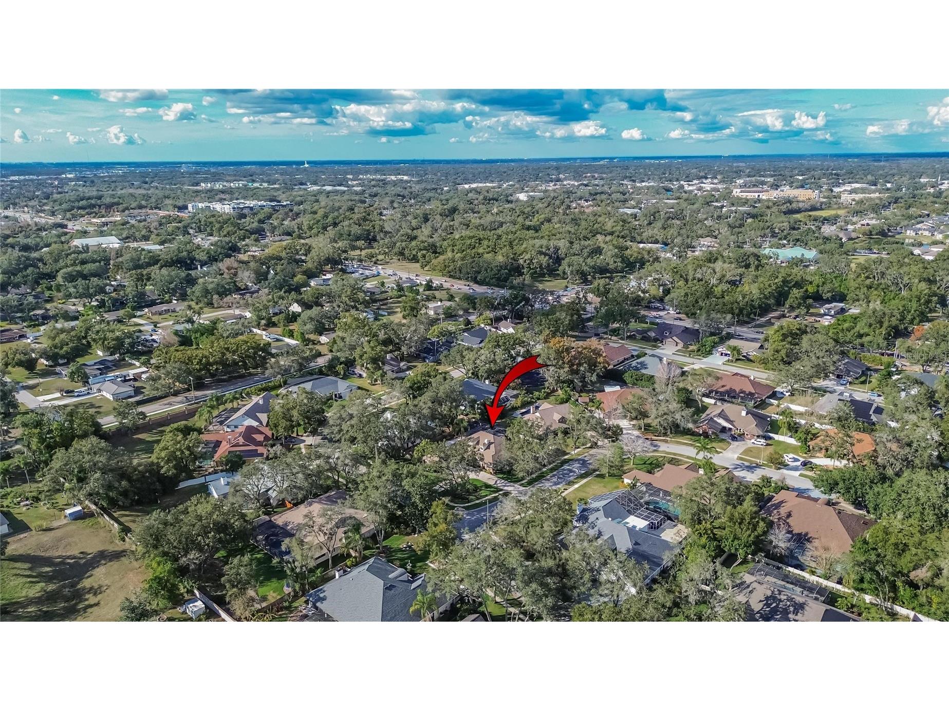 133 Barrington Drive Brandon FL 33511 TB8465143 image97