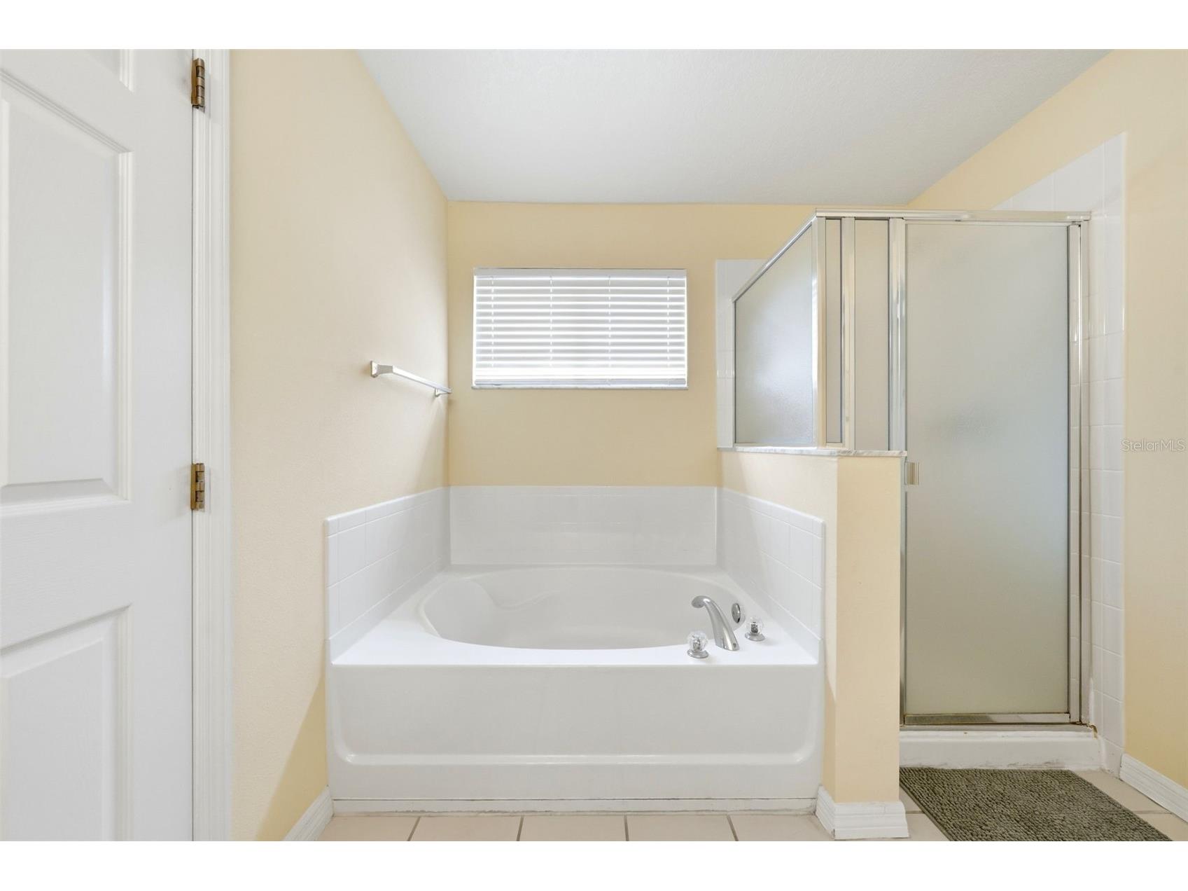 133 Bay Leaf Lane Davenport FL 33896 S5147488 image52