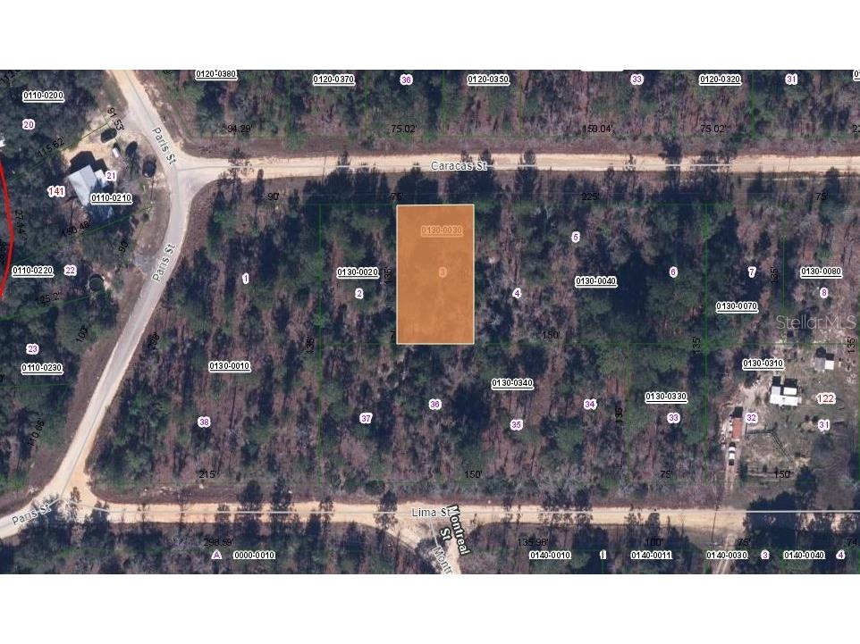 133 Caracas Street Interlachen FL 32148 OM626215 image1