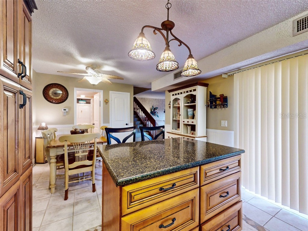 133 Cedar Dunes Drive New Smyrna Beach FL 32169 NS1084452 image12